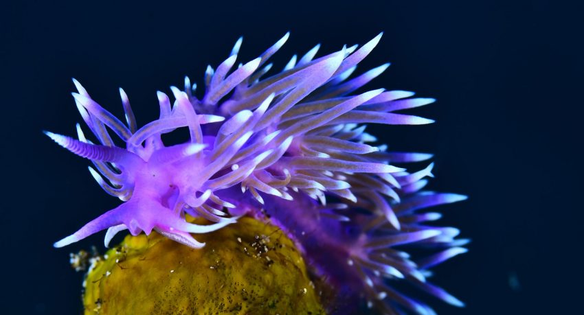 05-07-1ss-clasificado_2019_yeray-delgado-y-abigail-mart%c3%b7n-1