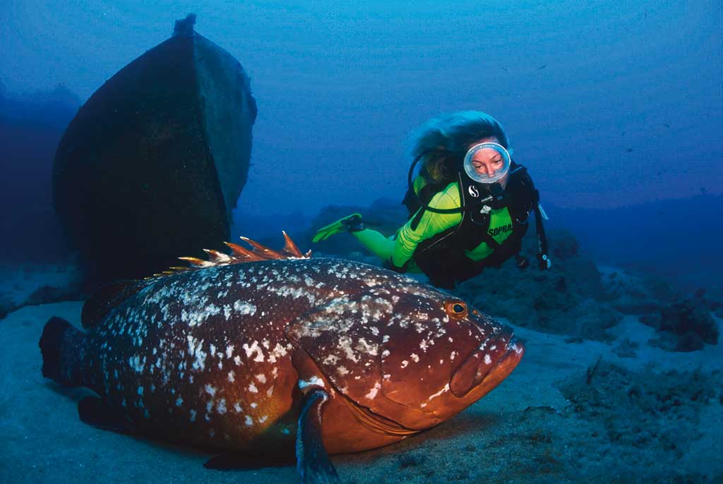 22-05-2020-javier-madinaveitia-2